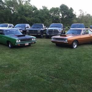 Meet your Posher, Terry